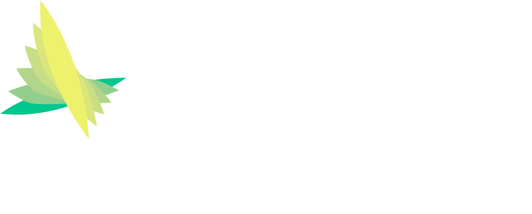 Syrge Inc. logo image